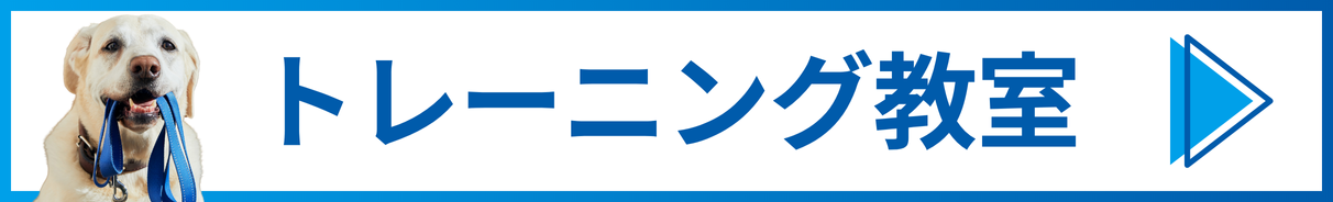 トレーニング教室