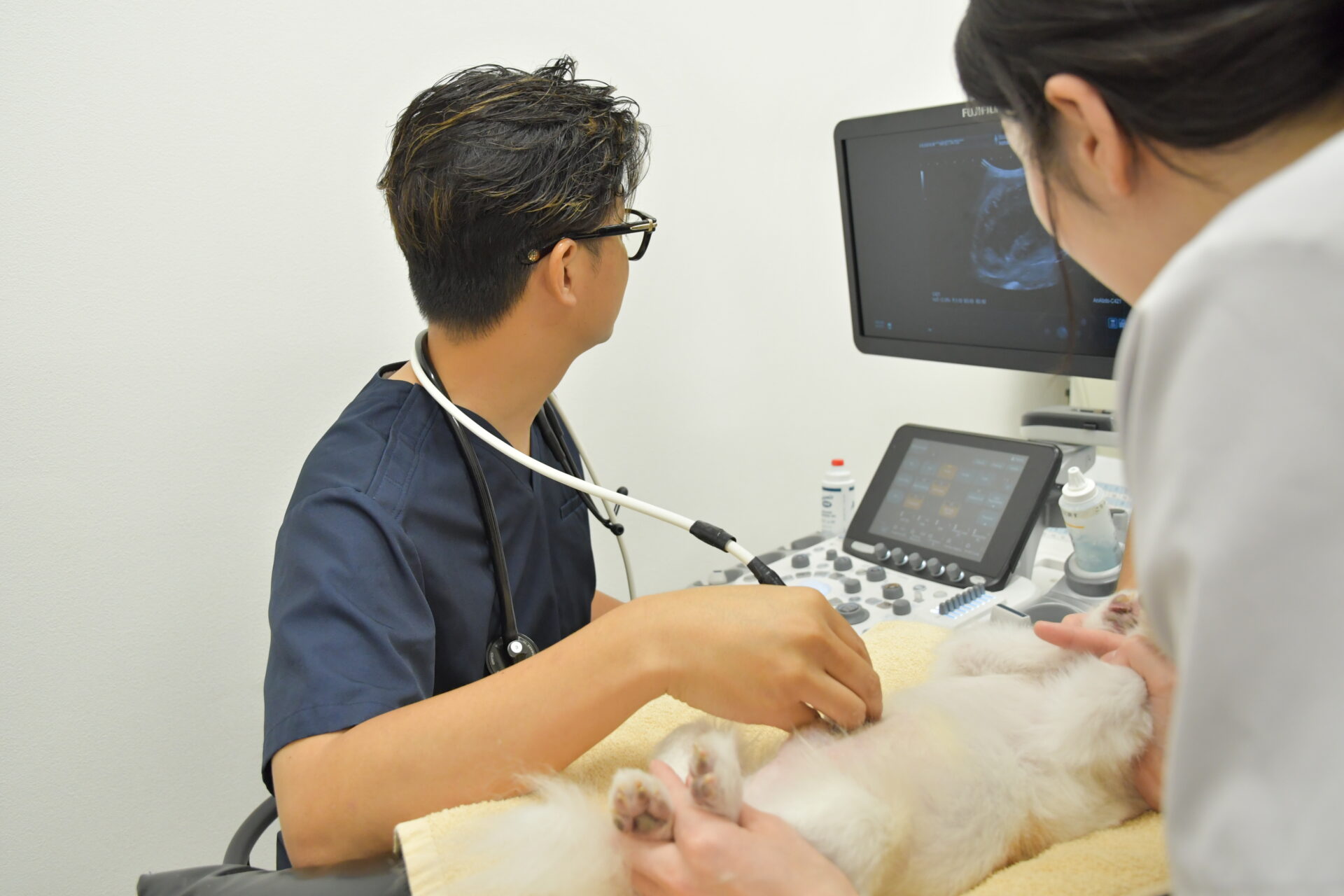 エコー検査の様子